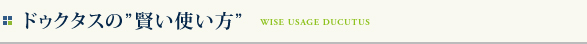 ドゥクタスの賢い使い方