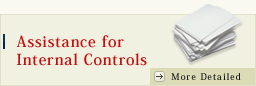Assistance for Internal Controls